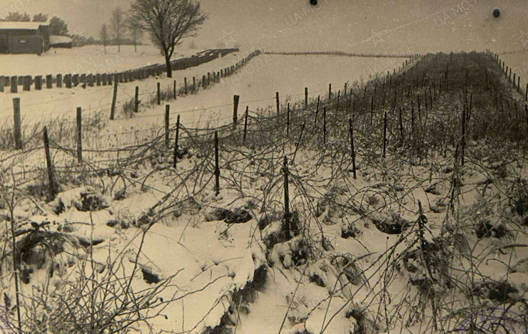 Okopy styczeń 1945
